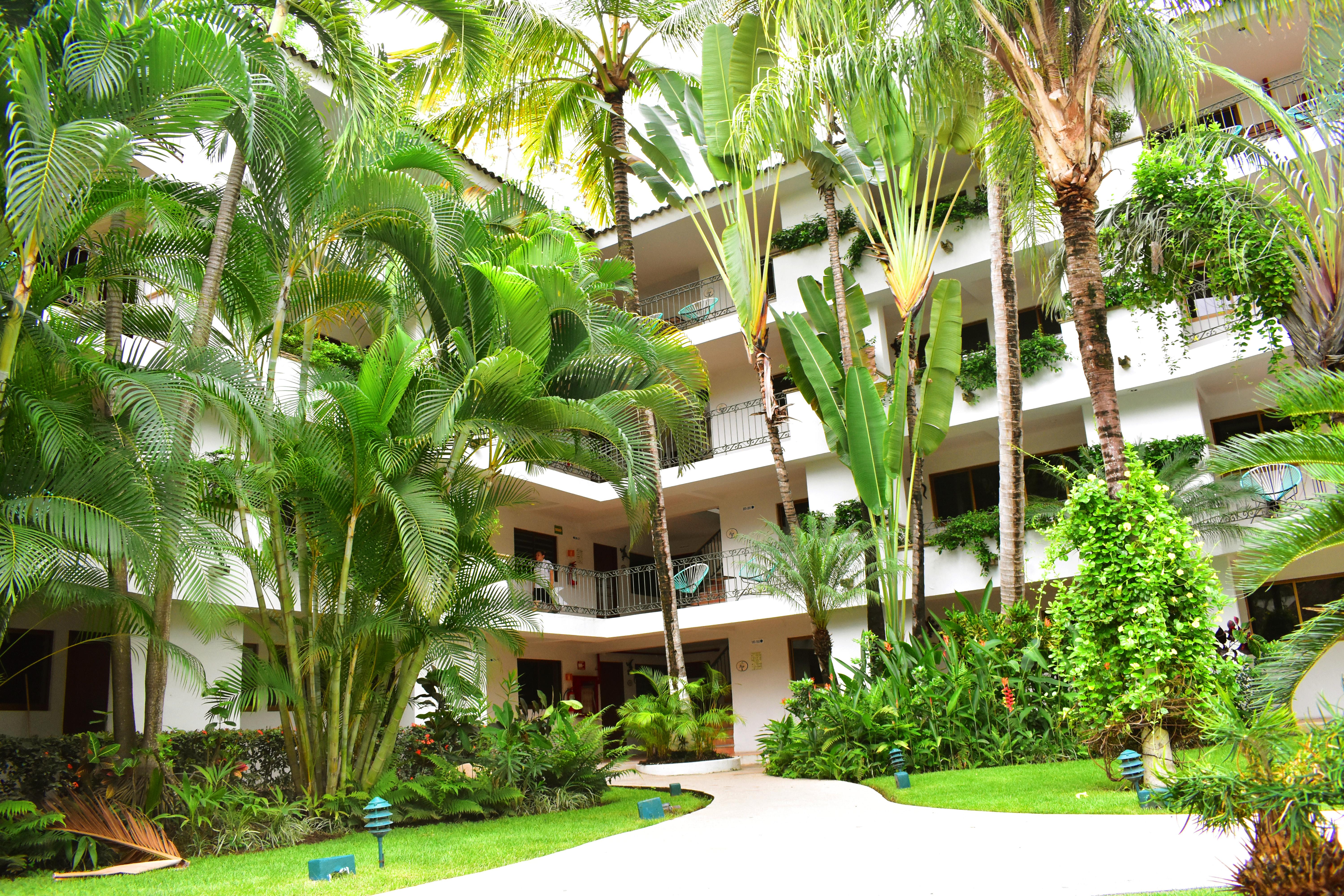 Hotel Casa Iguana Mismaloya Puerto Vallarta Exterior photo